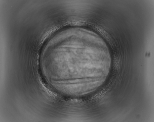 X0000088850586200706291457