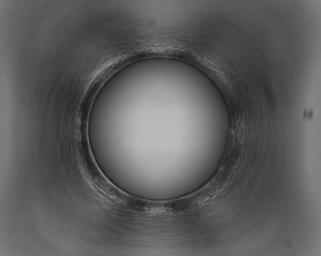 X0000088850587200706291457