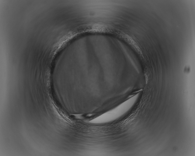 X0000088850588200706291457