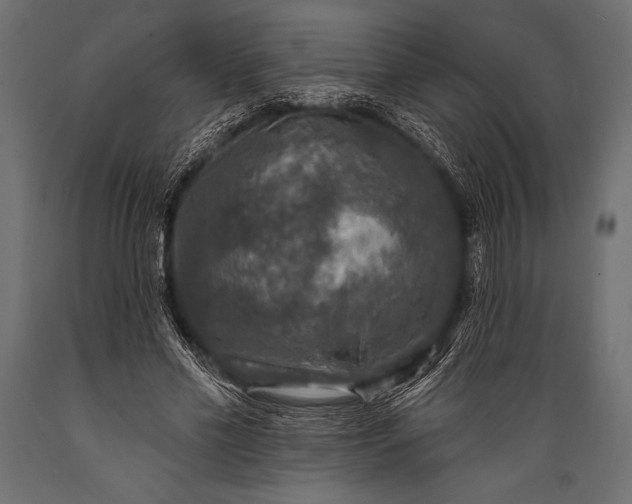 X0000088850589200706291457