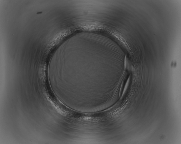 X0000088850590200706291457