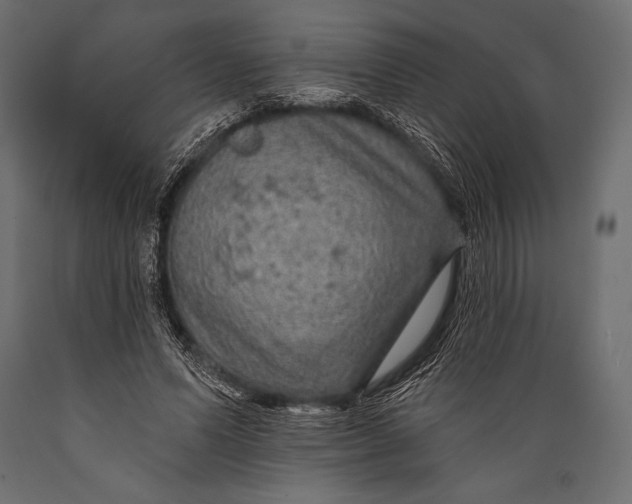 X0000088850591200706291457