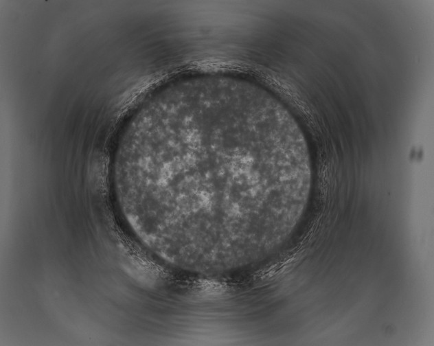 X0000088850592200706291457