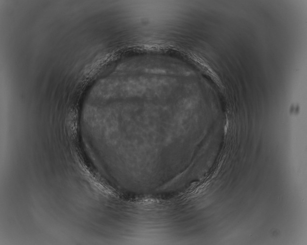 X0000088850593200706291457