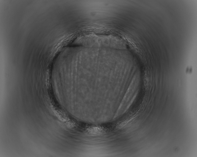 X0000088850594200706291457