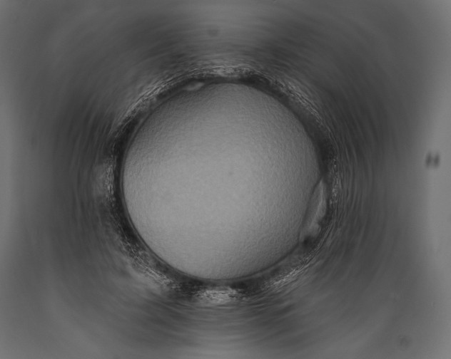 X0000088850595200706291457