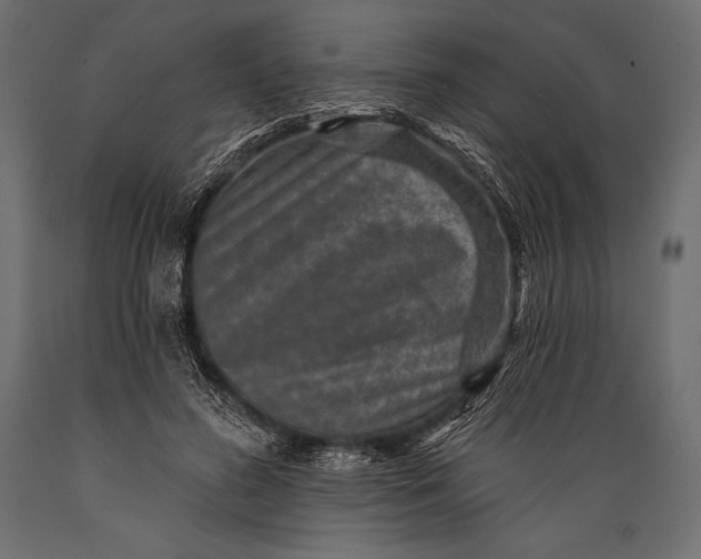 X0000088850596200706291457