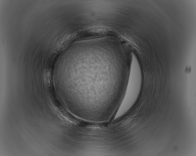 X0000088850597200706291457