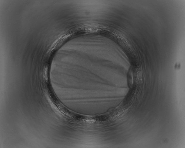 X0000088850598200706291457