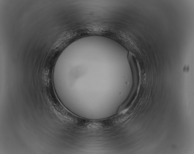 X0000088850599200706291457