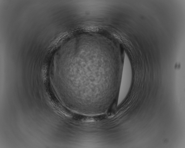 X0000088850600200706291457