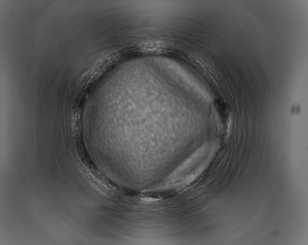 X0000088850601200706291457