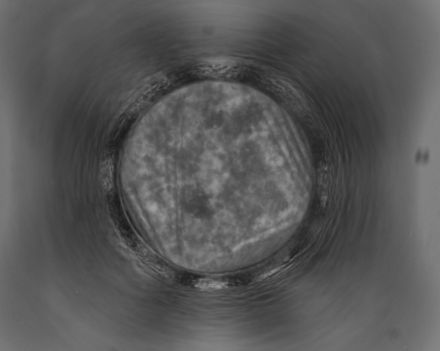 X0000088850602200706291457