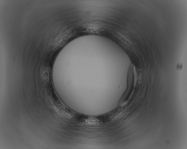 X0000088850603200706291457