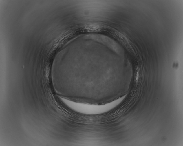 X0000088850604200706291457