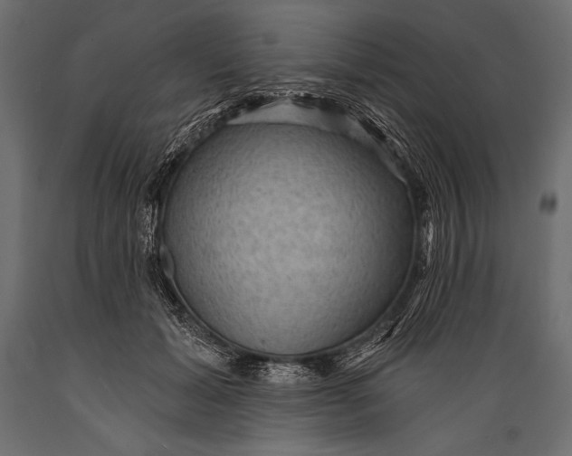 X0000088850605200706291457