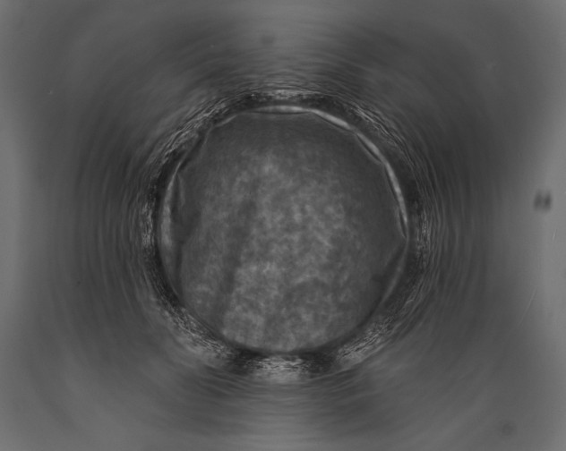 X0000088850606200706291457