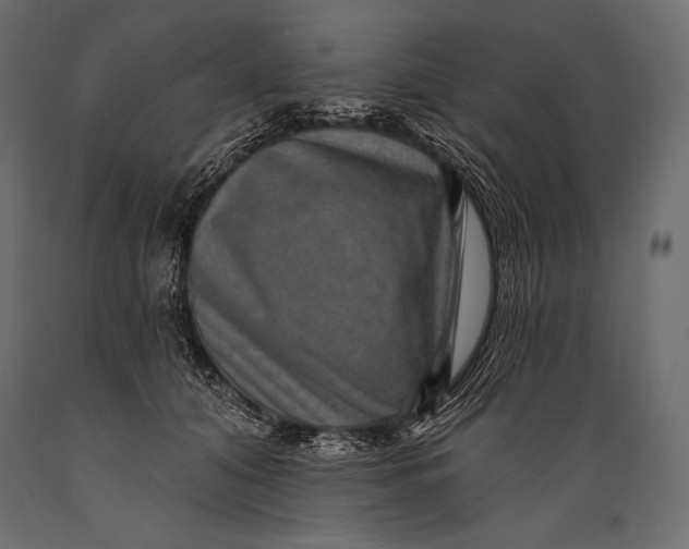 X0000088850608200706291457