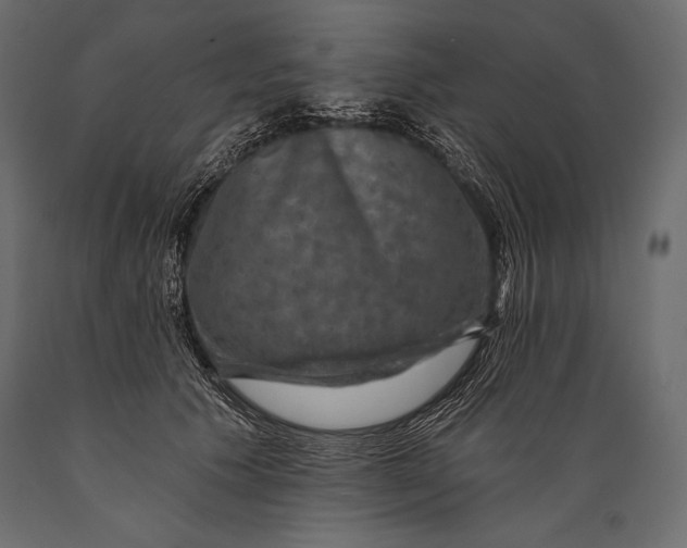 X0000088850609200706291457