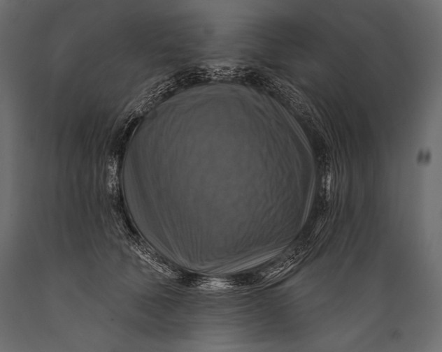 X0000088850610200706291457