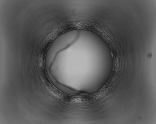 X0000088850611200706291457