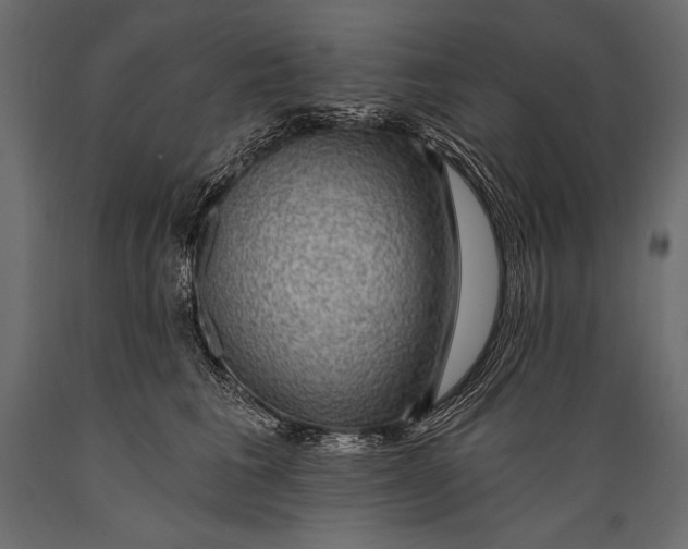 X0000088850613200706291456