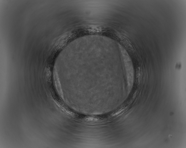 X0000088850614200706291456