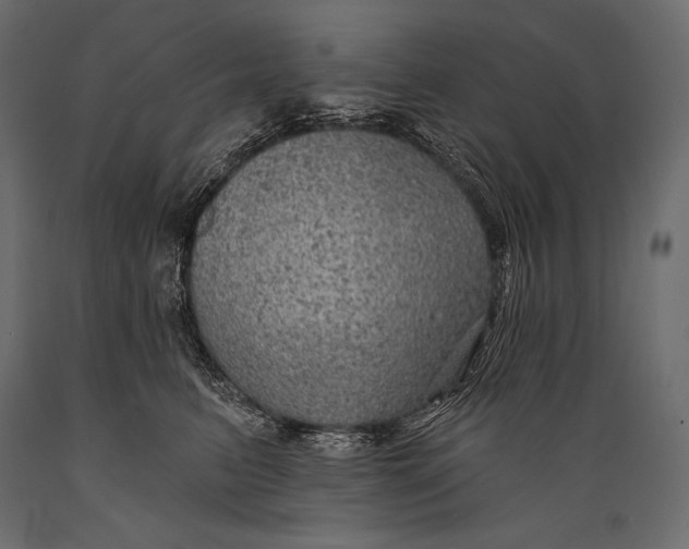 X0000088850615200706291456