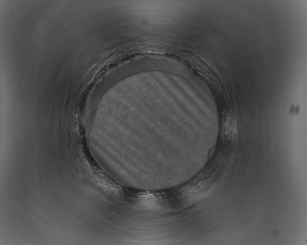 X0000088850616200706291456