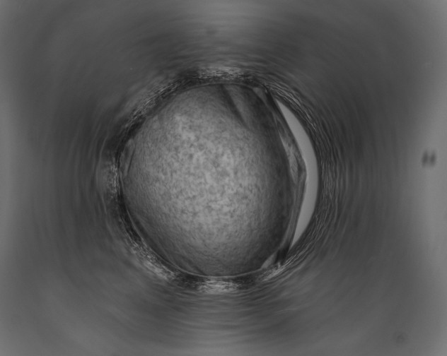 X0000088850617200706291456