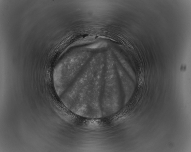 X0000088850618200706291456