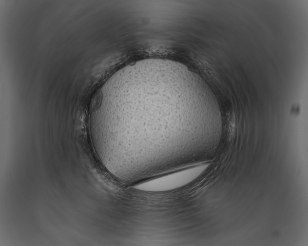 X0000088850619200706291456