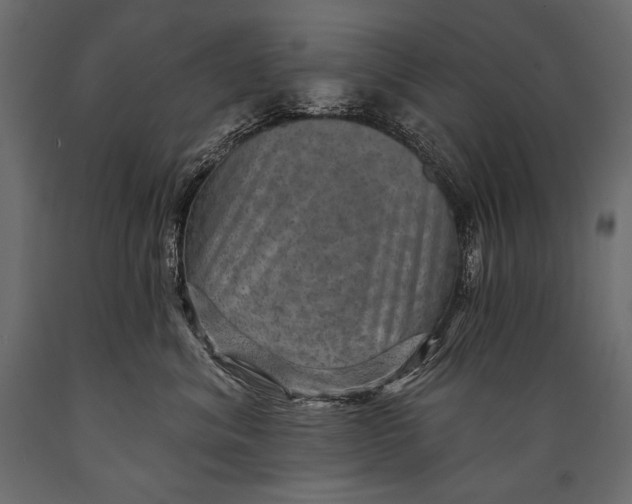 X0000088850620200706291456