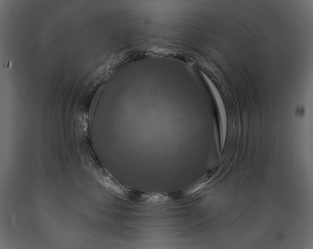 X0000088850621200706291456