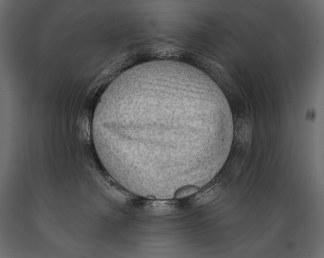 X0000088850622200706291456