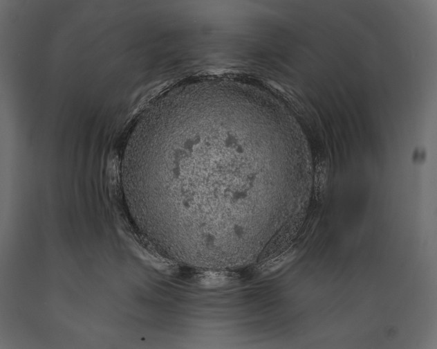 X0000088850623200706291456