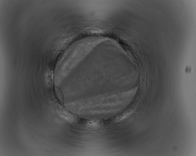 X0000088850624200706291456