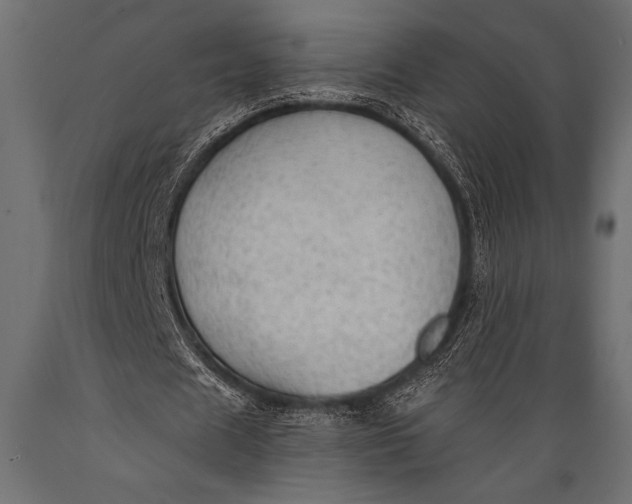 X0000088850625200706291456