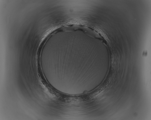 X0000088850626200706291456