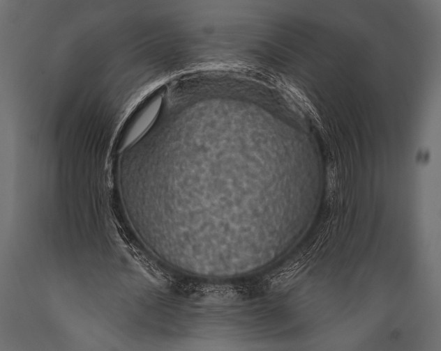 X0000088850628200706291456