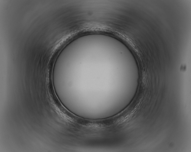 X0000088850629200706291456