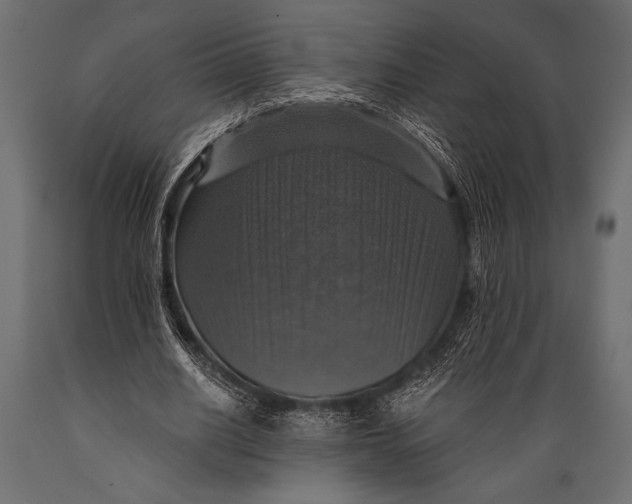 X0000088850630200706291456