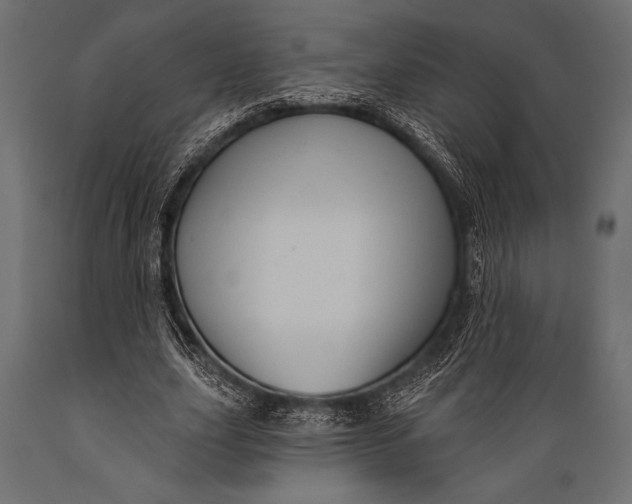 X0000088850631200706291456