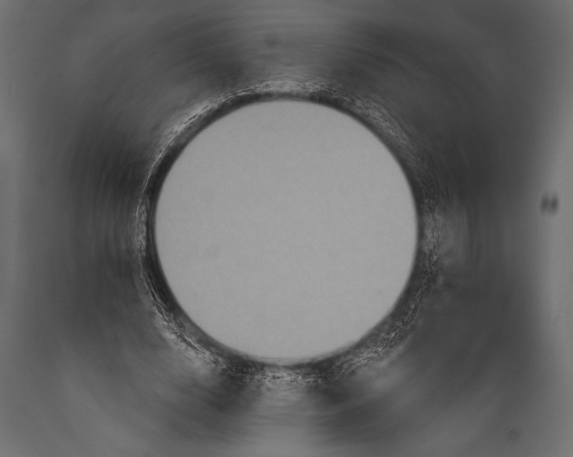 X0000088850632200706291456