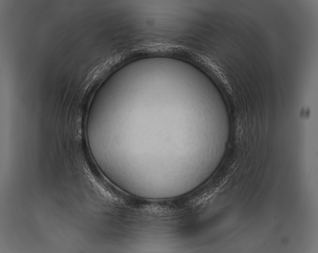 X0000088850633200706291456