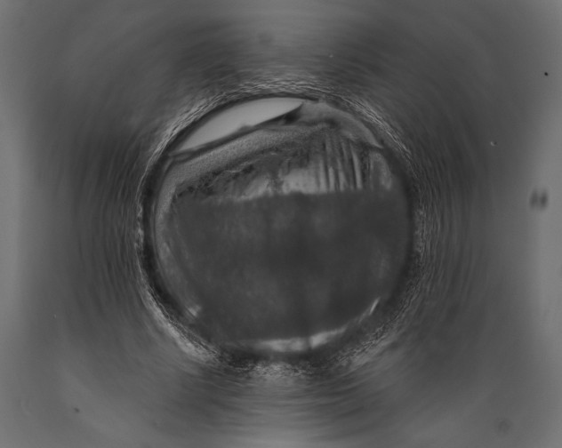 X0000088850634200706291456