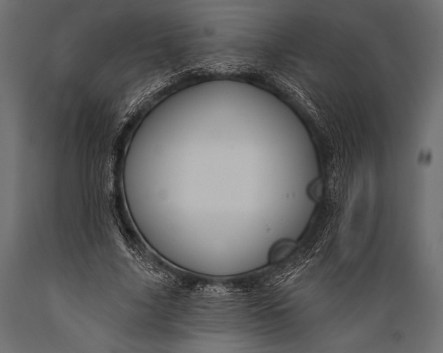 X0000088850635200706291456