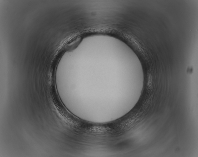 X0000088850636200706291456