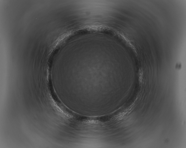 X0000088850637200706291456