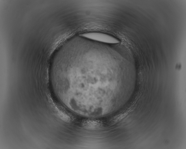 X0000088850638200706291456